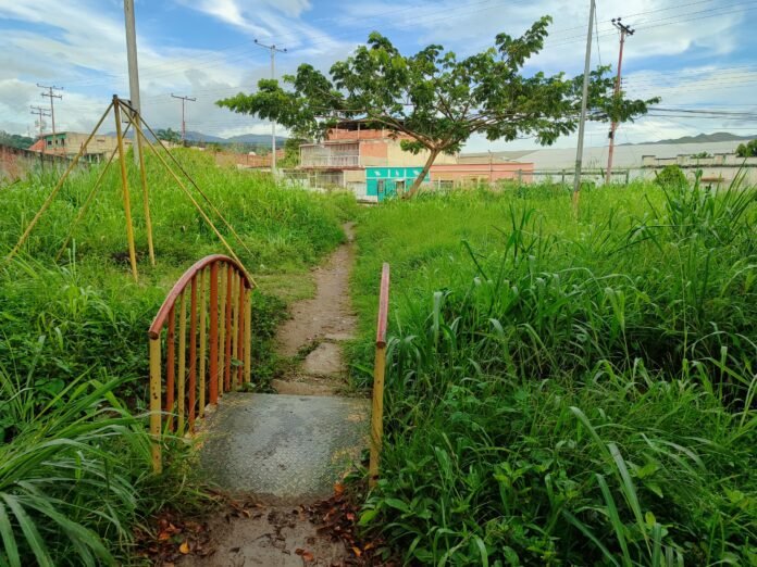 Denuncian abandono en zona detrás del Estadio en La Victoria