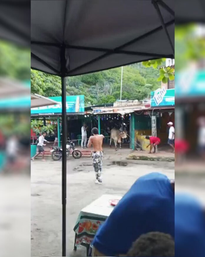 La información se hizo viral a través de las redes sociales, donde se precisa que la tragedia manchó la celebración de la "Fiesta de los Pescadores" en la localidad, que es costumbre que se realizara después de las festividades de San Juan Bautista.