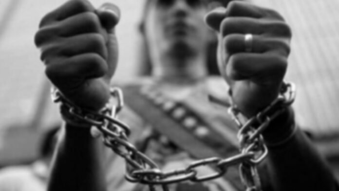 PNB aprehendió a individuo que agredió a su progenitora PNB aprehendió a individuo que agredió a su progenitora